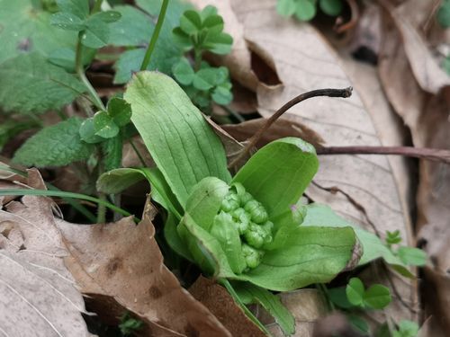 ���Ф��Ƥ��ޤ���