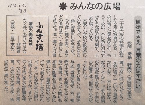 ʿ������ǯ�ʣ�������ǯ��