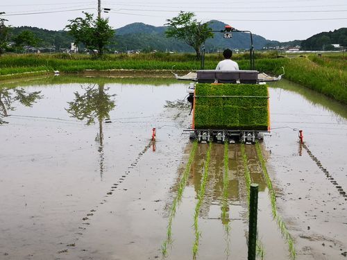 �Ŀ���������Ĥ���Τϥץ���̭���Ǥ�