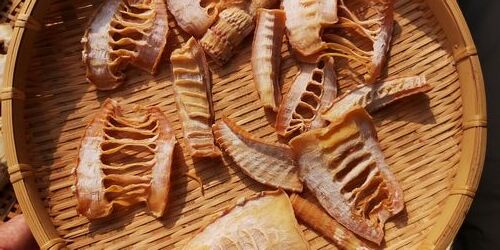 ¥¿¥±¥Î¥³¤òÅò¤¬¤¤¤Æ´³¤·¤Þ¤·¤¿