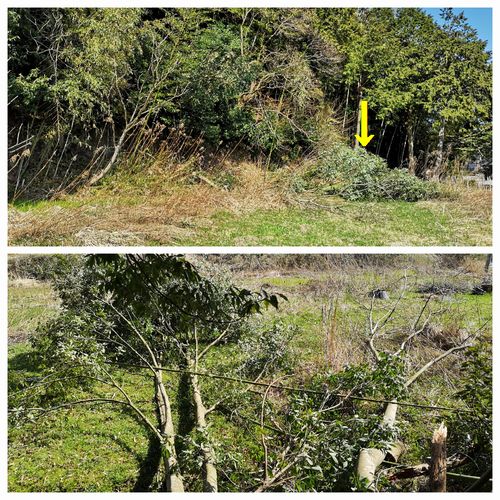 ����Ȫ������ޤ���