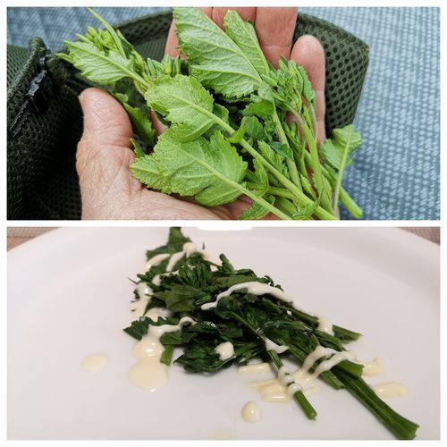 ���纬��Ŧ�߼�ä�