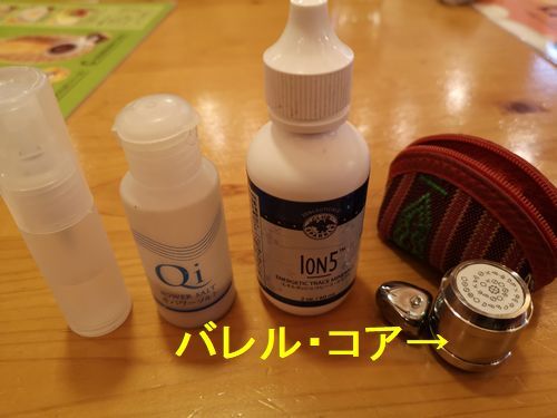 �����Υ��å�����Ӥ��Ƥ���