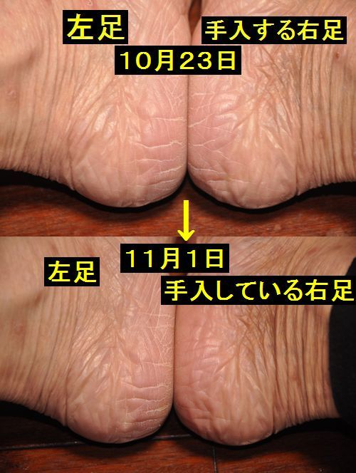 �����줷�Ƥ����α��Τ�����