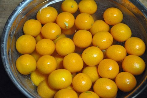 �¿��䤵���˿����ơ����ݤ������������¸������ޤ�