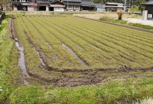 ��������ˤ�