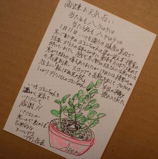 ������������㡡���ǥ󤵤󤫤�᡼�뤬�Ϥ��ޤ���