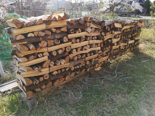 ��ǯ�����ѤοŤν�����Ϥ�Ƥ��ޤ�