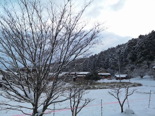 ��������ī�ˤϤҤ����֤��