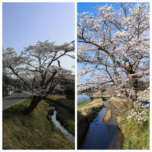 ��褤�κ��������Ǥ�