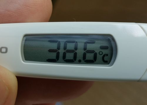 ����.�����ޤ���