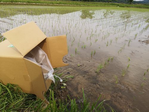 �֣ڣţңϤΤ�����פ򣱣���åȥ�ή�����ߤޤ�