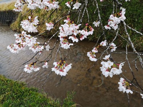 ��褤�Υ��ᥤ�襷�Τ�������������ˤʤ�ޤ���
