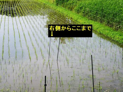 ������Ĥ�ܤΣ����ۤɤǤ�