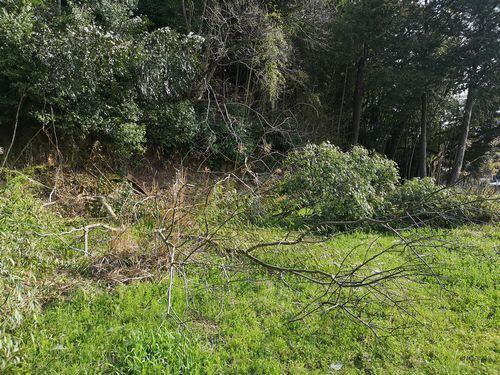 ̾����������