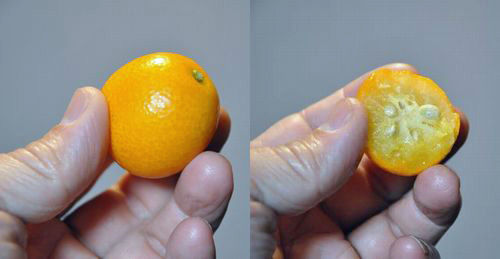 �ɽϥ��󥫥�֤��������ޡ�������