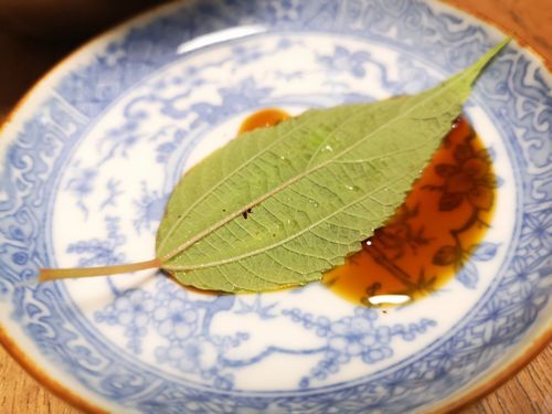 �����դ˾�����Ĥ��ƿ��٤�