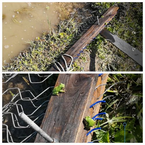 �ޤ���äƤ��ޤ�