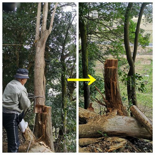 �����פǰ���ĥ�äƳ����ޤ�����
