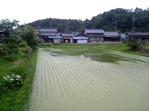 ��������Ŀ������飲���ַФ��ޤ���