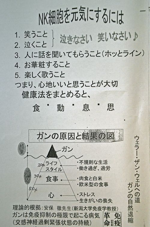 ガンの原因と結果が図で分かりやすく書かれています