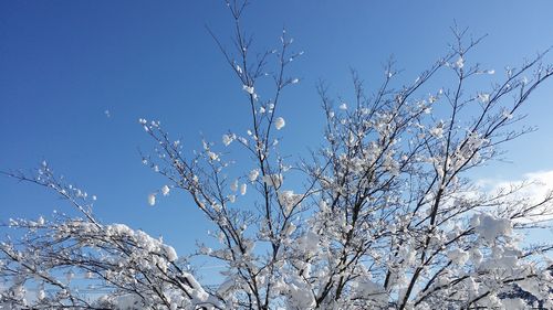 ���褬�Ķ��˸����ä�