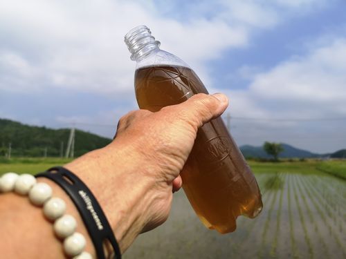 �ֵܸťԥǥ󥹥ԥ��������