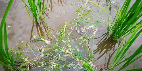 É⤾夬¤Ã¤Æ¤¤Þ¤·¤¿