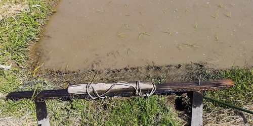 ¥Ó¥Ë¥Ú¥Ã¥È¥¹¥×¥ê¥ó¥°½üÁð