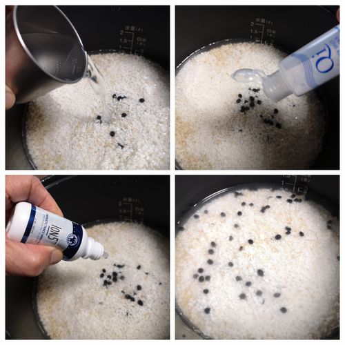 �壳��