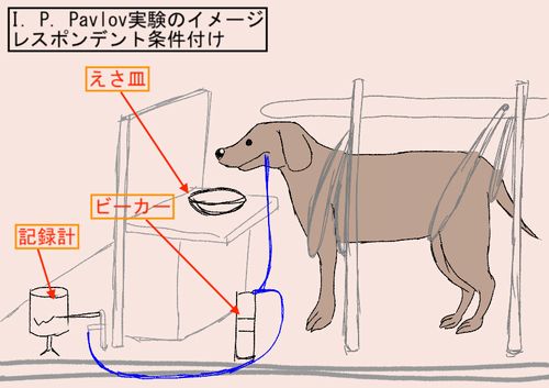 �֥ѥ֥��դθ���