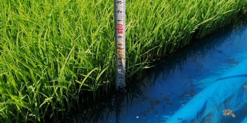 È¢¤Î¾å¤Þ¤Ç¾å¤²¤Þ¤·¤¿