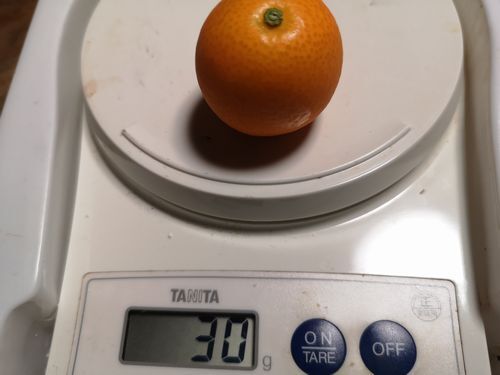 ���Ĥ�������⤢��ޤ�