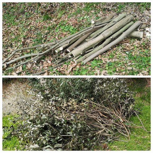 �Ťˤʤ��ڤ϶Ϥ��Ǥ������ޤ����̤Ǥ�