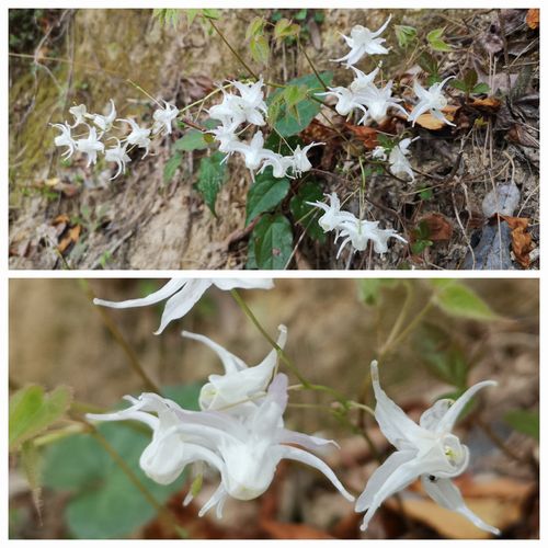 �򿧤Υ����꥽���򸫤Ĥ��ޤ���