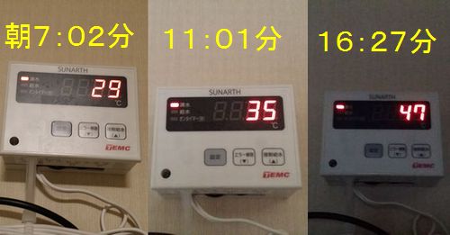 ��������������ʬ���岹��