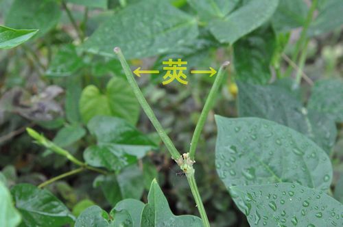 �����ԡ�Ʀ��財ʤ���ˤ��դ��Ƥ��ޤ���