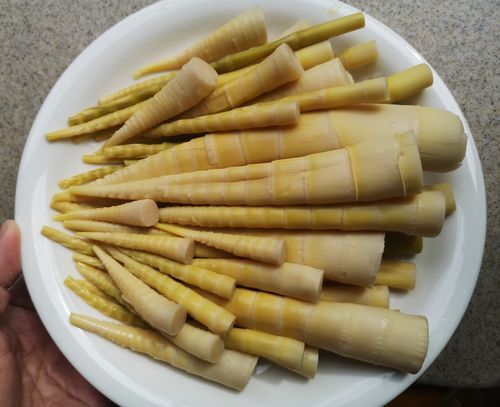 �������ݤ��򤬤��Ƥ��ޤ�