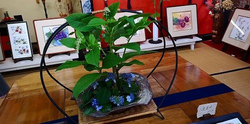 ¼«Á³¤ÎÁð²Ö