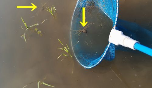 ¤¹¤¯¤¤¼è¤ê½üÁð