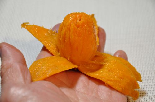 �Ǽ���餬���줤�������ޤ���