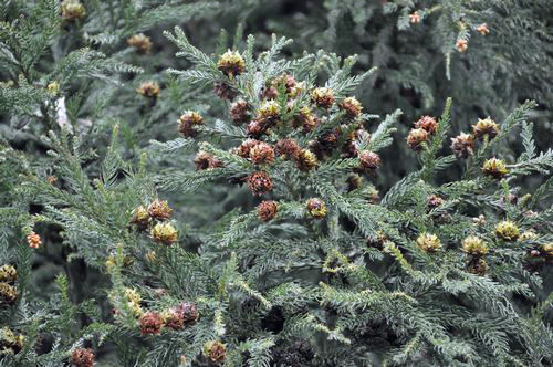 ������ϻ�֤Ǥ�