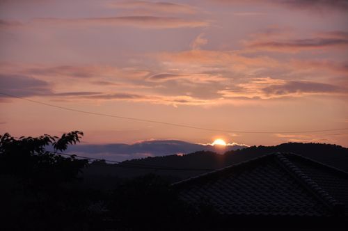 ͼÆü
