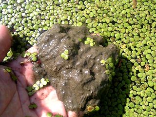 �Ĥ�ܤΥȥ��ȥ���