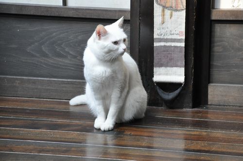 �ߡ�������Υ�줿�Ȥ�����