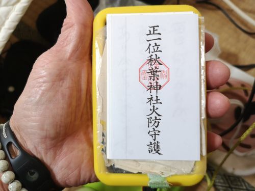 �ǥ����벽