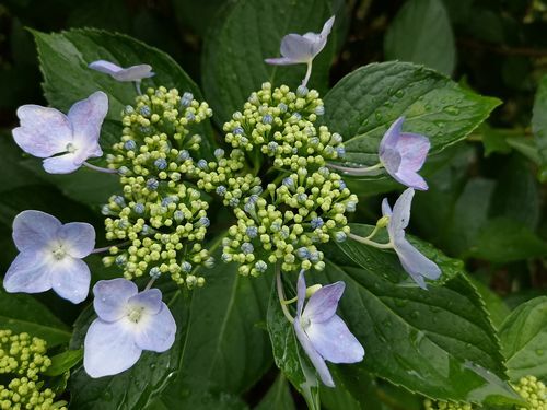 ����Ǩ�줿���۲֤����Ǥ�