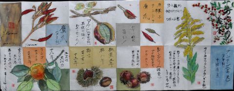 �褦�䤯���������ä�����