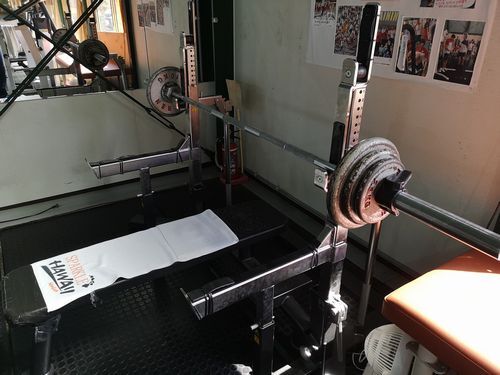 �٥���ץ쥹���פߤޤ���