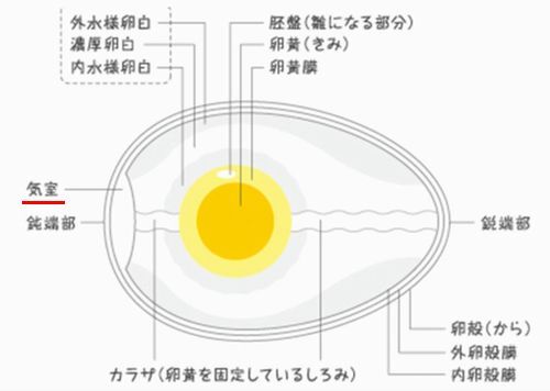 ��ι�¤�ϿޤΤ褦�ˤʤäƤ��ޤ�